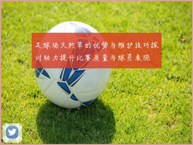 足球场天然草的优势与维护技巧探讨助力提升比赛质量与球员表现